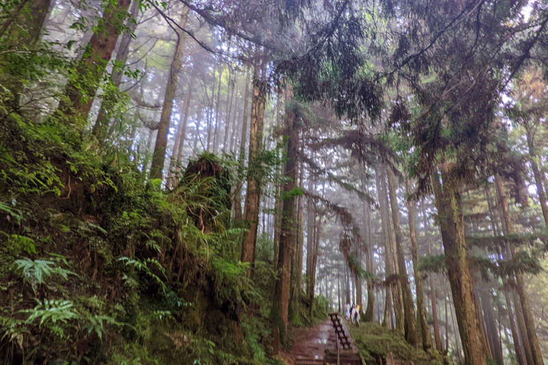宜蘭租車自駕一日遊攻略｜太平山×抹茶山×外澳×梅花湖×礁溪