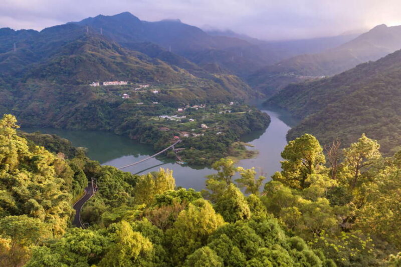 台北出發山林租車自駕｜5 條療癒路線：太平山、角板山、拉拉山、擎天崗、東眼山一次看