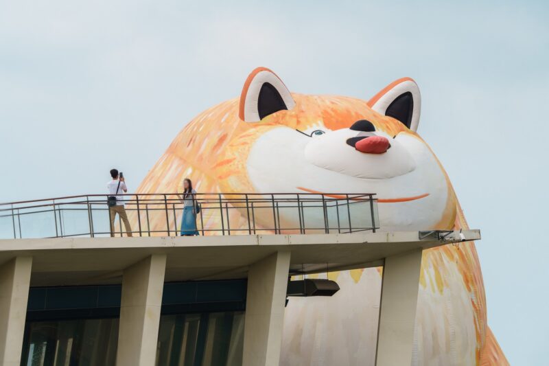 2026年5月去哪玩？螢火蟲、龍舟、綠博、黑鮪魚，4大活動一次收藏！
